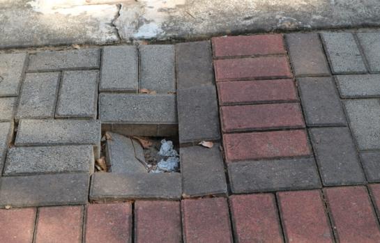 Responsabilidad de la administracion por desperfecto en vía publica_img