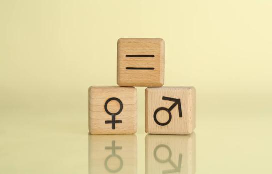 Ley de paridad y error tecnico_img