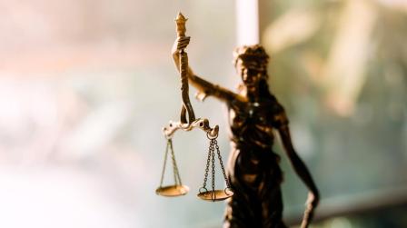 Elecciones de diferentes órganos judiciales noviembre 2024_img