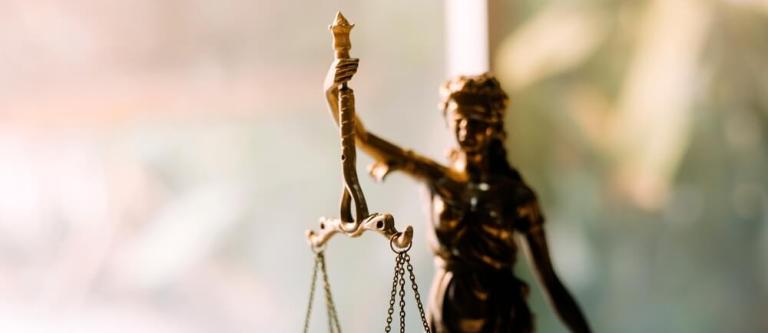 Elecciones de diferentes órganos judiciales noviembre 2024_img