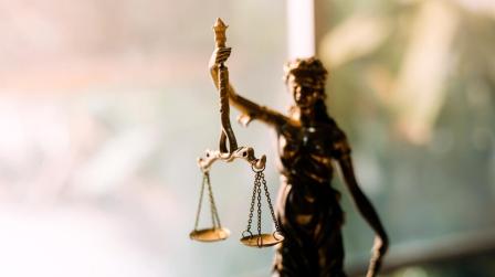 Elecciones de diferentes órganos judiciales noviembre 2024_img