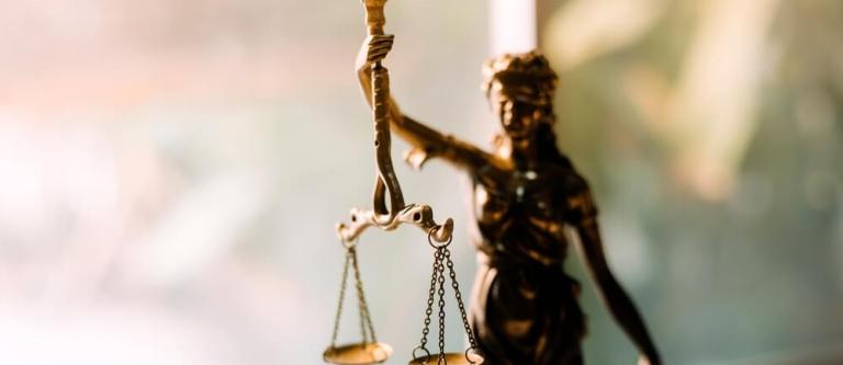 Elecciones de diferentes órganos judiciales noviembre 2024_img