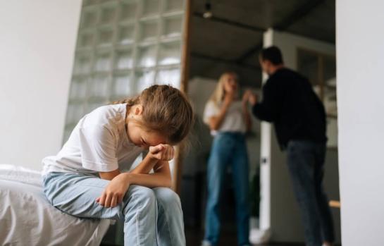 Régimen de visitas en un contexto de violencia de genero_img