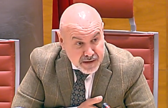 Presidente del CERMI Estatal, Luis Cayo Pérez Bueno-img