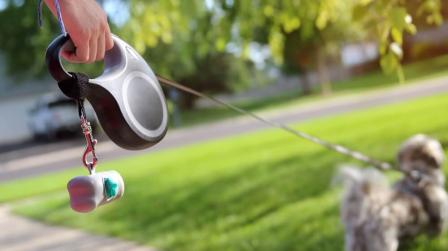 Responsabilidad de aseguradora por ataque de perro decisión judicial_img