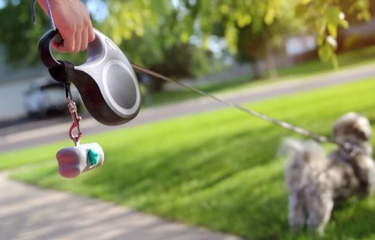 Responsabilidad de aseguradora por ataque de perro decisión judicial_img