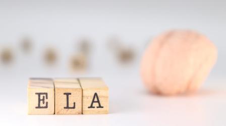 ELA y dictamen aprobado_img