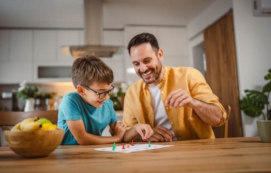 Casa nido y sentencia sobre custodia compartida_img