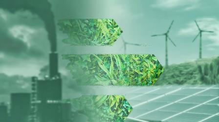 Libro verde y sostenibilidad_img