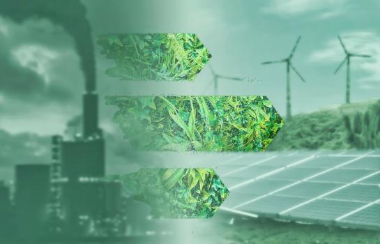 Libro verde y sostenibilidad_img