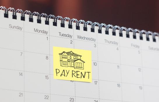 Grandes tenedores y alquiler social_img