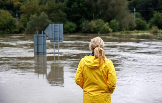 DANA y ayudas del Estado_img
