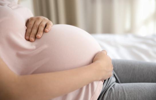 Gestación por subrogación sentencia del Supremo_img