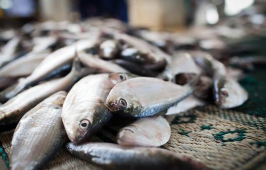 Absuelto trabajador de un delito de estafa_img