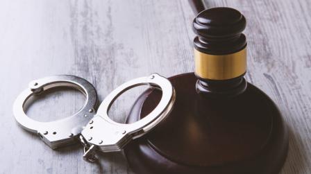 Delito contra animal doméstico sentencia_img