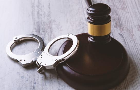 Delito contra animal doméstico sentencia_img