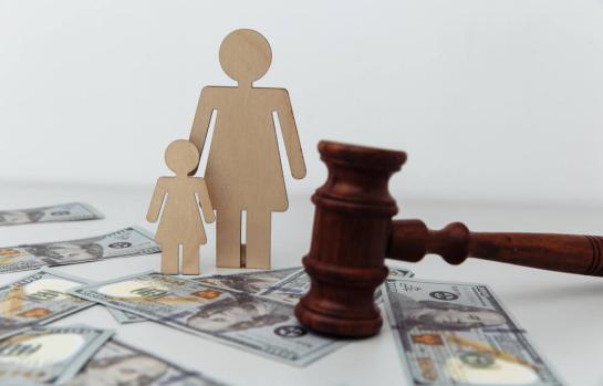 Tutela judicial de madre y Administración_img