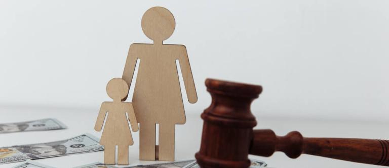 Tutela judicial de madre y Administración_img