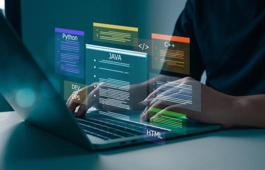 Perfiles TIC 2024_img