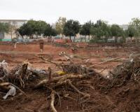 Implicaciones administrativas y fiscales para ayuntamientos por la dana_img