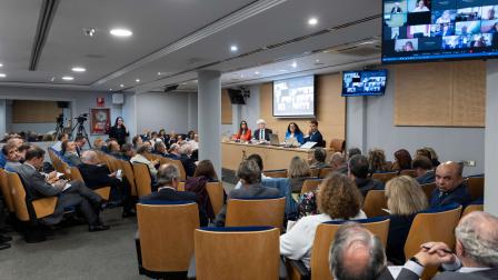 Pleno de la Abogacía Española febrero 2025_img