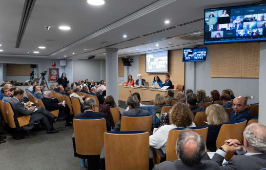 Pleno de la Abogacía Española febrero 2025_img