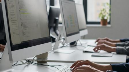 imagen denuncia wordpress