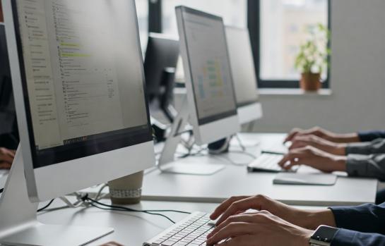 imagen denuncia wordpress