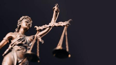 Ley Orgánica 1/2025, de 2 de enero Especial_img