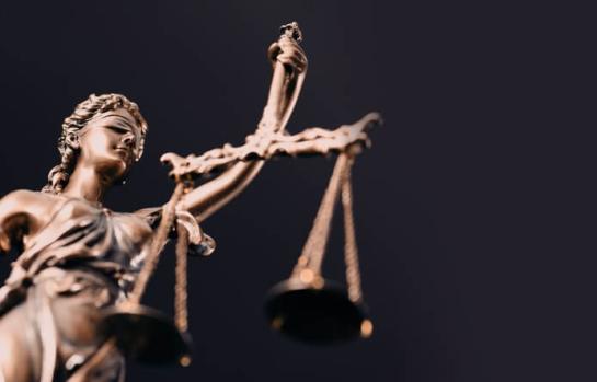 Ley Orgánica 1/2025, de 2 de enero Especial_img