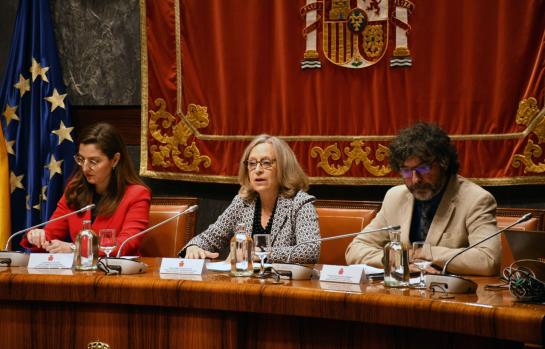Comision Igualdad CGPJ