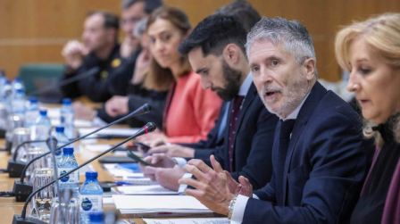 Marlaska alerta nacional por el apagón_img
