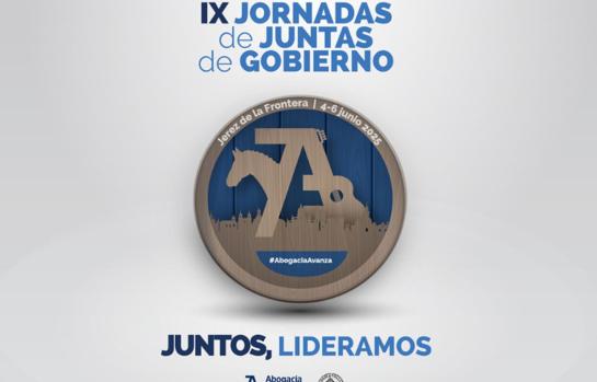IX jornadas abogacía