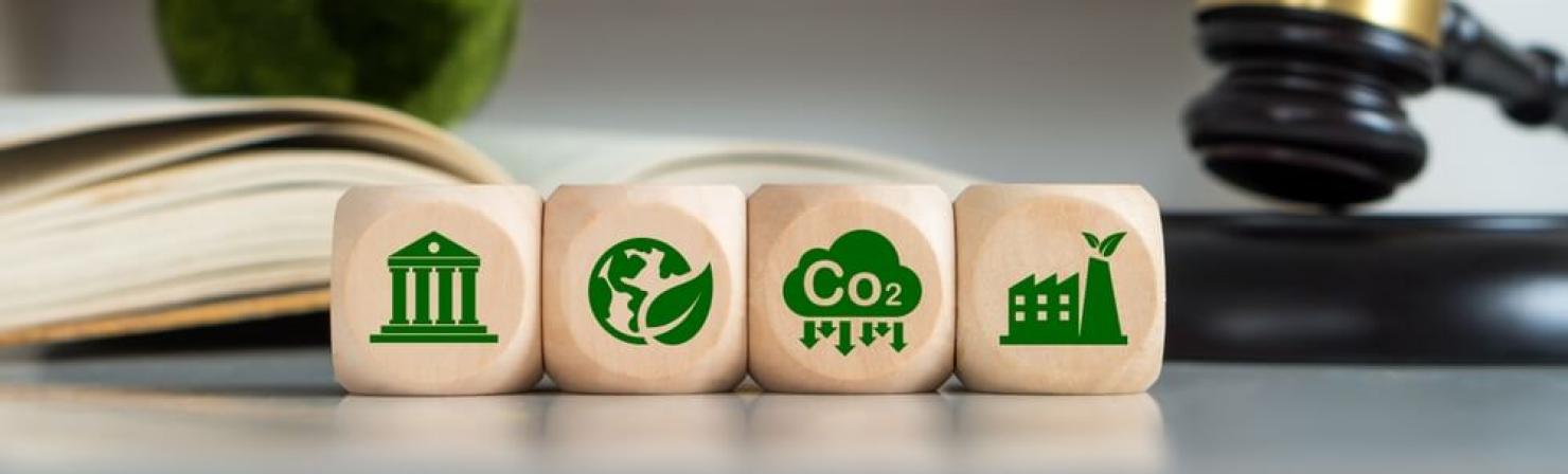 Medio ambiente y su protección_img