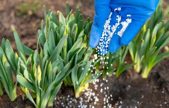 Estimación objetiva e IRPF 2024_img