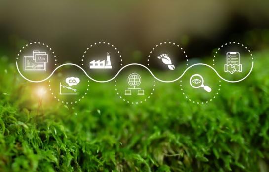 Huella de carbono y obligación de empresas_img