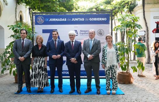 Amparo colegial para abogados del CGAE_img