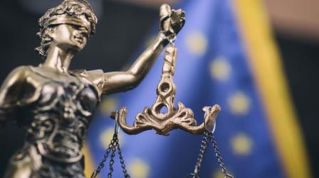 Informe del Estado de Derecho de la Unión Europea 2025_img