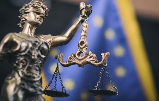 Informe del Estado de Derecho de la Unión Europea 2025_img