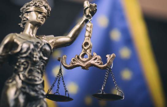 Informe del Estado de Derecho de la Unión Europea 2025_img