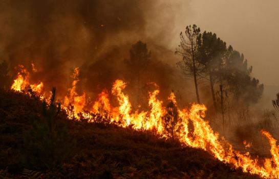 Incendio forestal