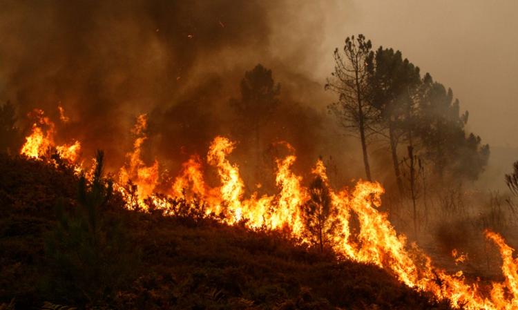 Incendio forestal