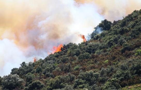 Inclusion zona afectada