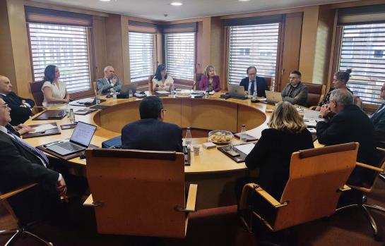 Reunion Pleno CACYL ayudas incendios_img