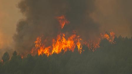 Incendios España 2025 y responsabilidad_img