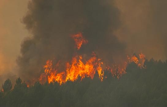 Incendios España 2025 y responsabilidad_img