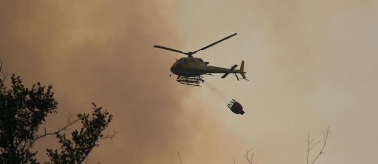 Ayudas para zonas afectadas por incendios y lluvias 2025_img