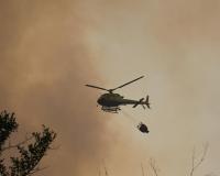 Ayudas para zonas afectadas por incendios y lluvias 2025_img