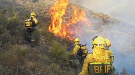 Bomberos forestales