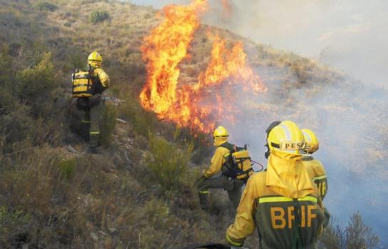 Bomberos forestales